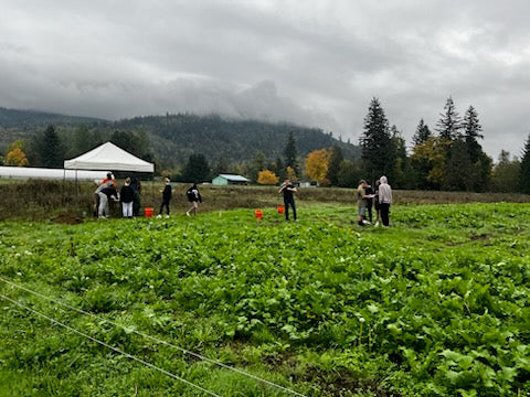 Nooksack Valley High School's Eye-Opening Science Field Trip to the Family Pig Farm