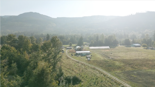 A Year in Review: Savoring - and redefining - Success on Our Family Pork Farm