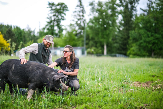 From Pen to Plate: Navigating the Emotional Journey of Farm Life with Pigs