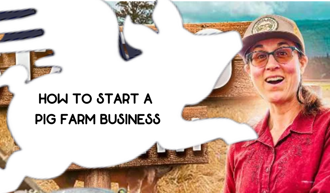 How to Start a Pig Farm Business