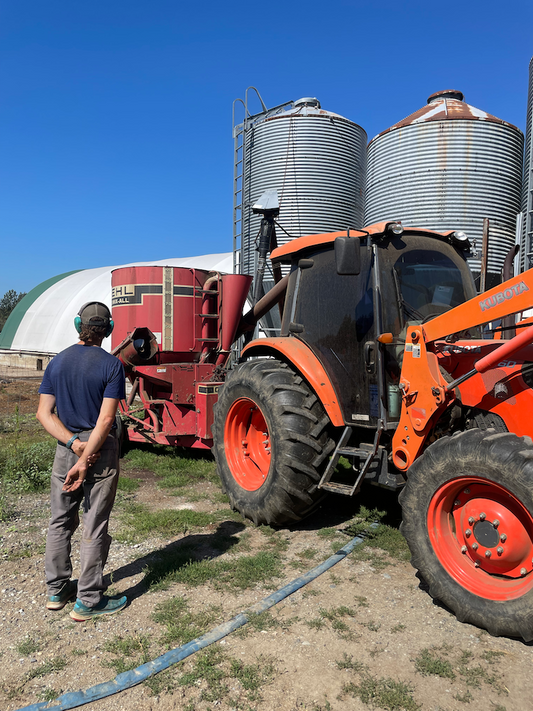 What Do You Feed Your Pigs? A Look at Our Pig Feeding Program