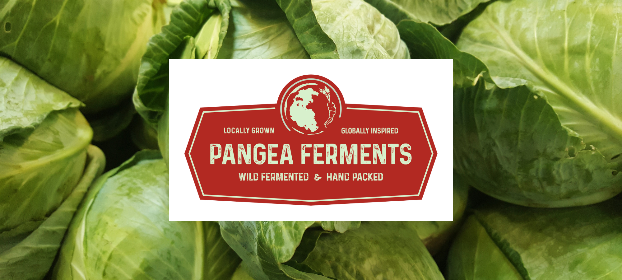 Pangea Ferments sauerkraut partnership 